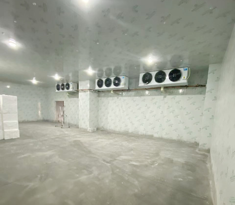 宜昌普拉拉食品500立方-25度冰淇淋